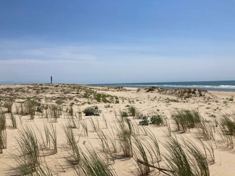 dune atlantique