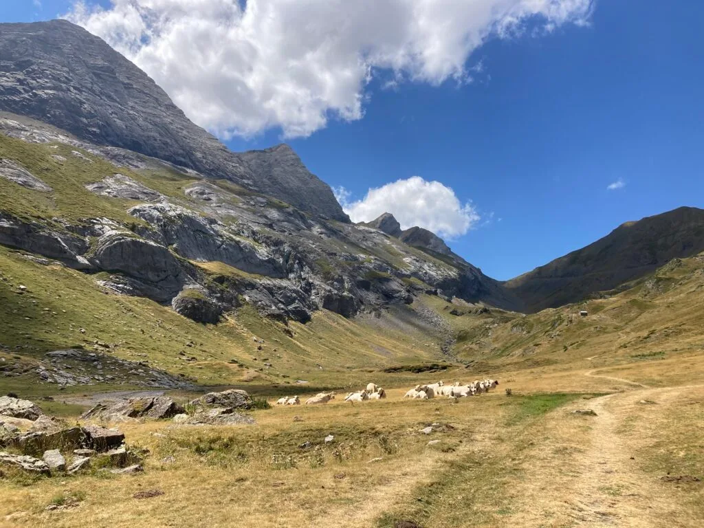 vallée de gavarnie