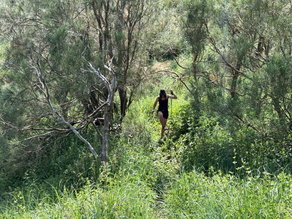 sentier de randonnée à l'Etna au milieu de la végétation luxuriante