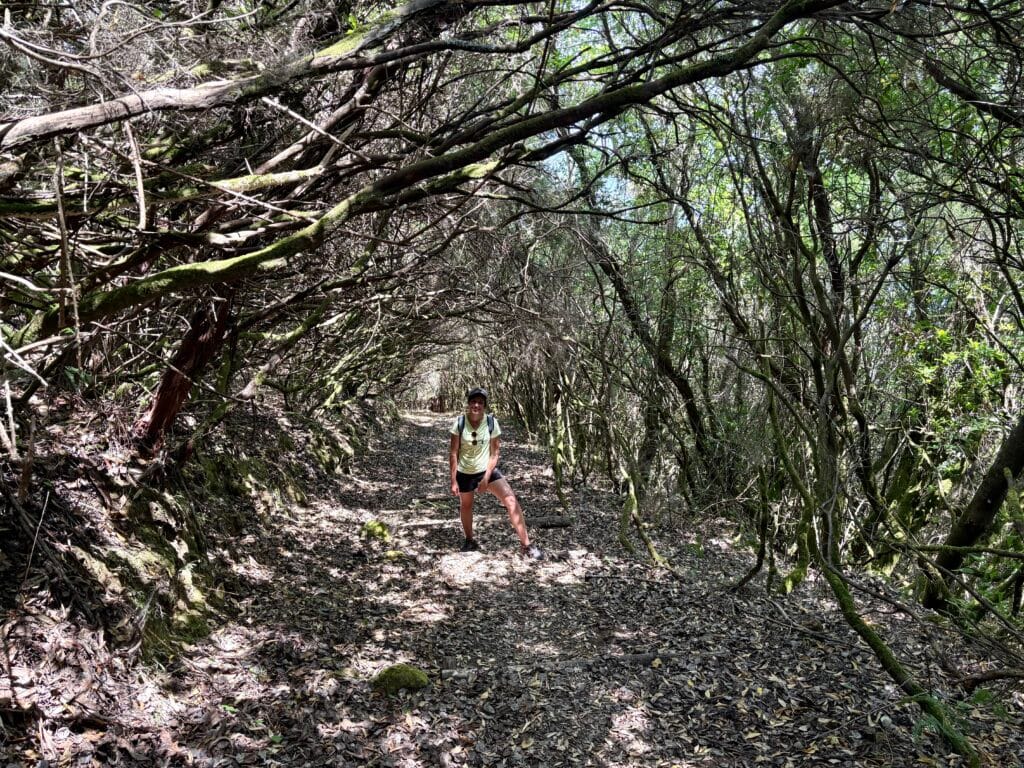 montée au Monte Fossa delle Felci