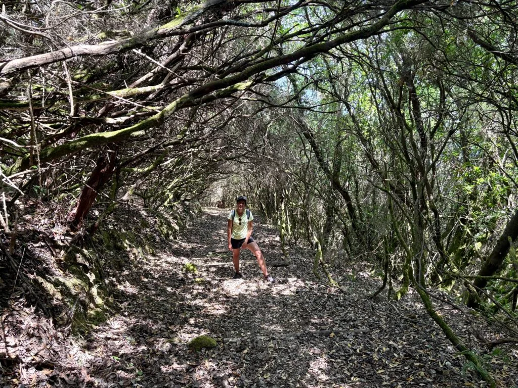 montée au Monte Fossa delle Felci