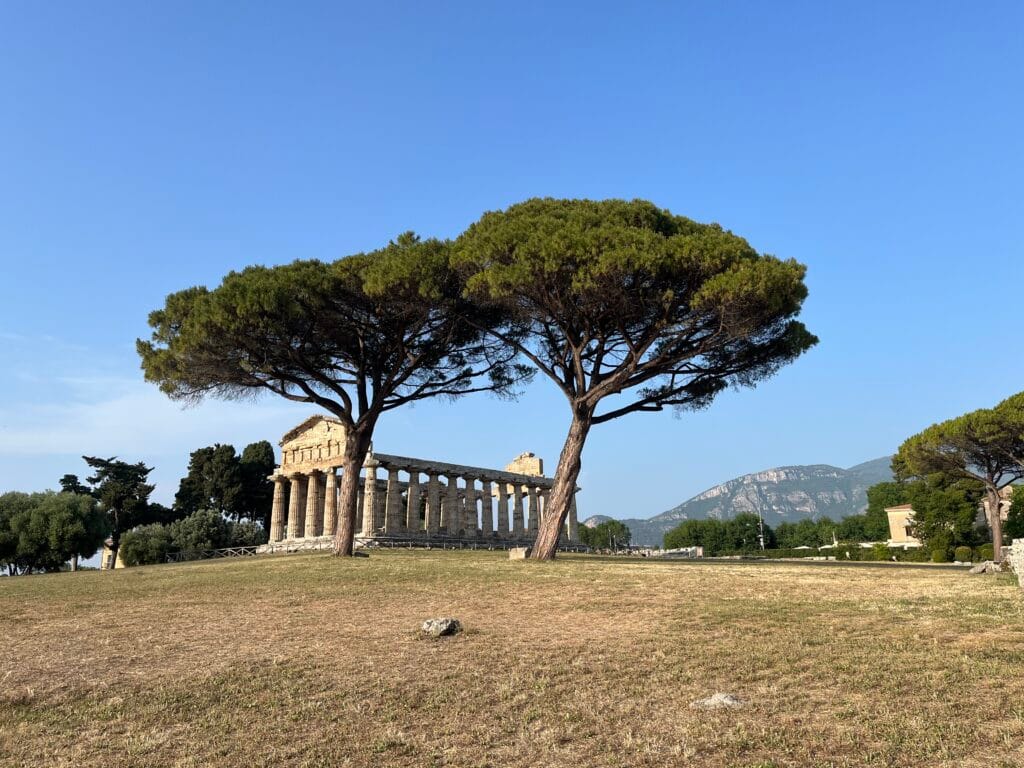 temple grec à paestum