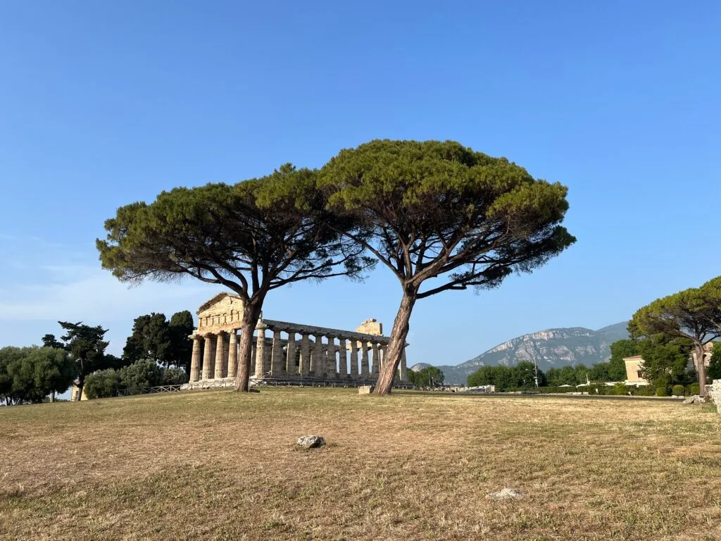 temple grec à paestum