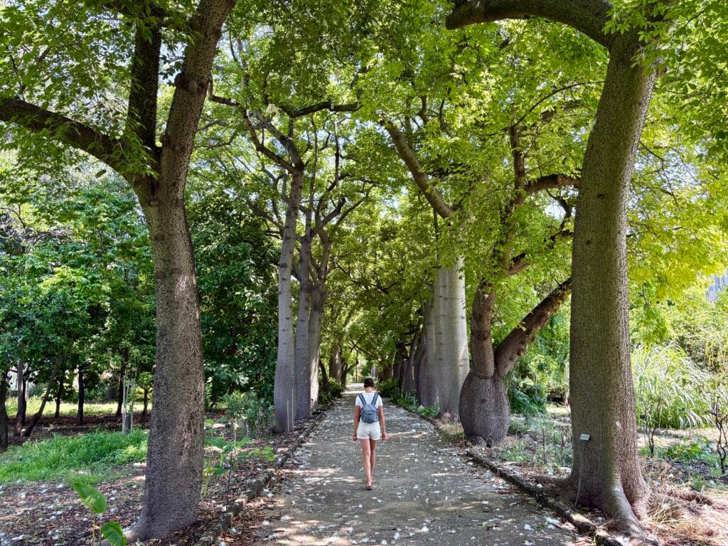 jardin botanique à palerme