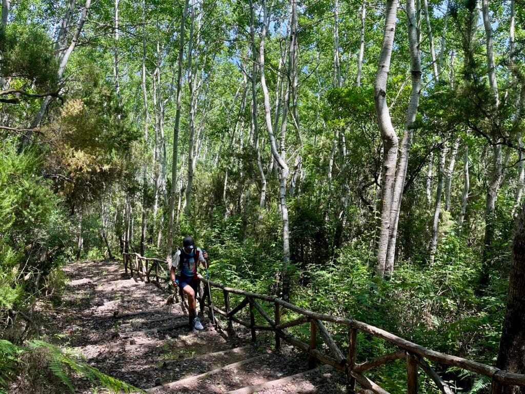 montée au milieu de la forêt au monte fosse delle felci
