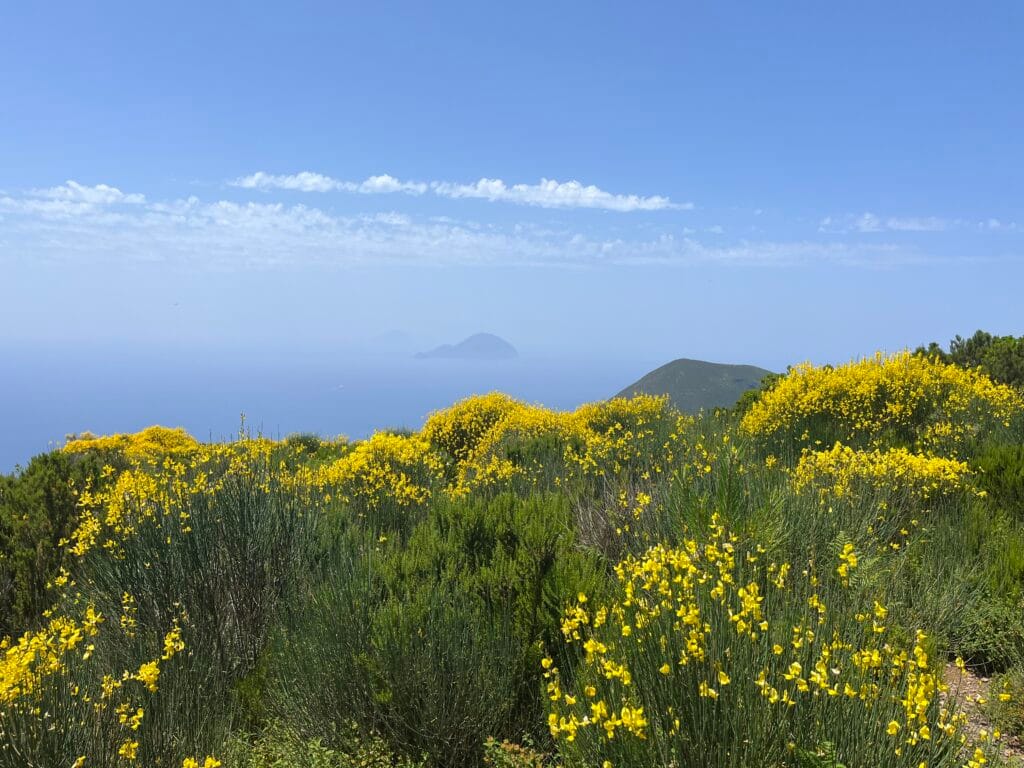 vue sur le Monte dei Porri depuis le Monte Fossa delle Felci