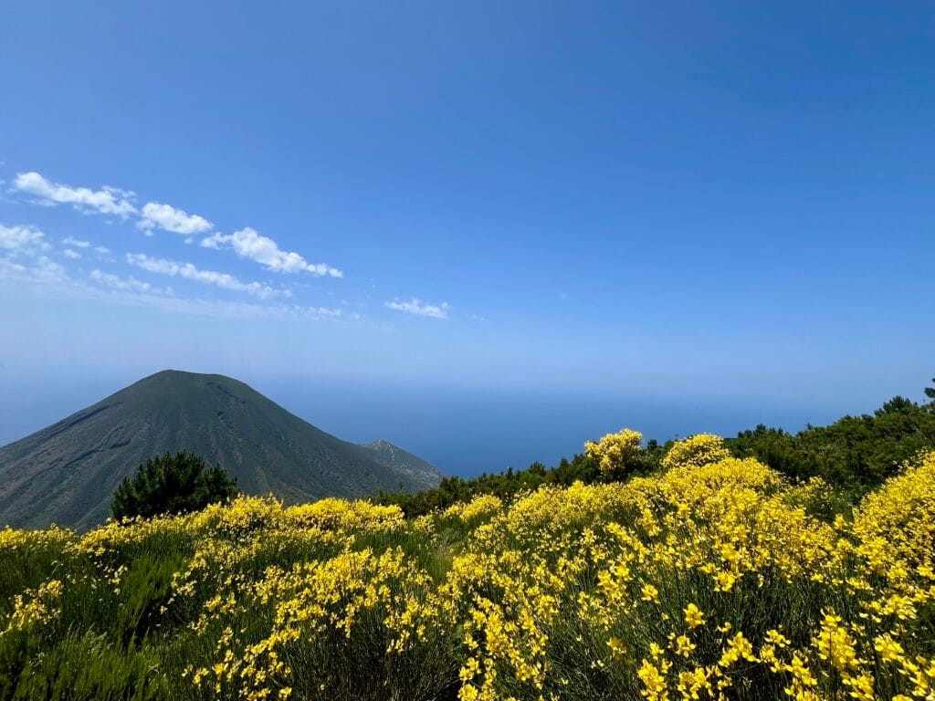 Belvedere au Monte Fossa delle Felci avec une vue sur le monte dei porri à Salina
