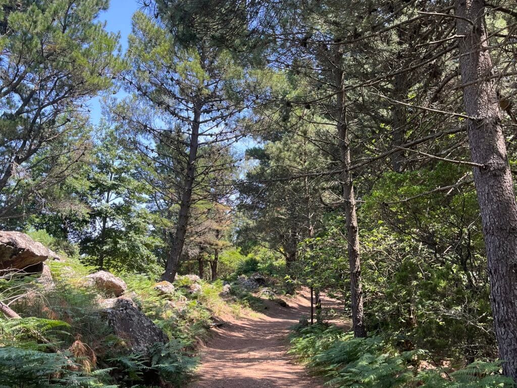 réserve naturelle du monte delle Felci e dei Porri