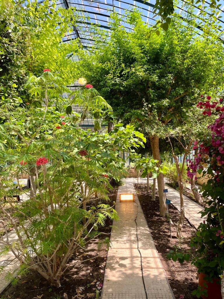 jardin botanique à palerme
