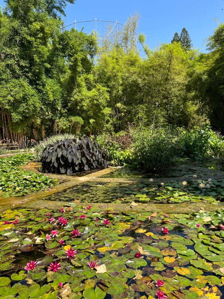 jardin botanique à palerme