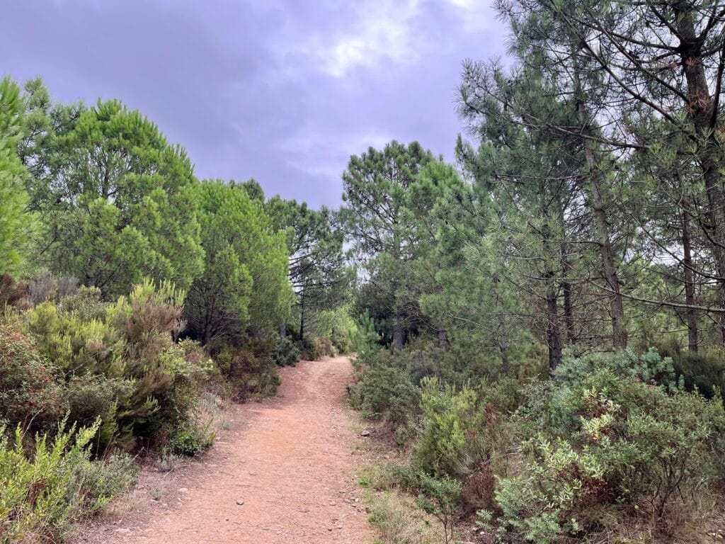 sentier de randonnée au Monastère de Sant Pere de Rodes