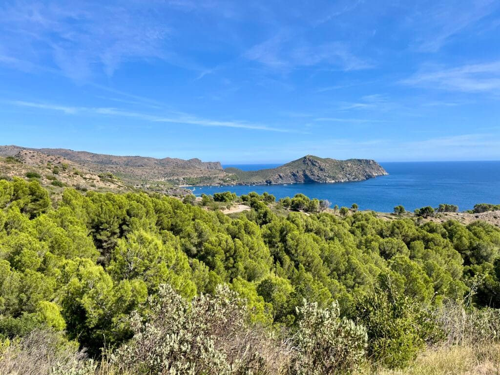 vue sur le cap Norfeu
