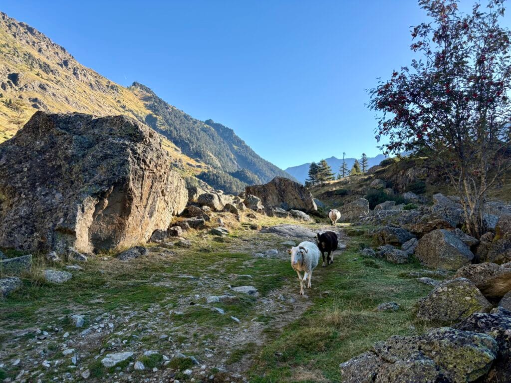 vallée du Marcadau lors d'un trek en boucle depuis Cauterets