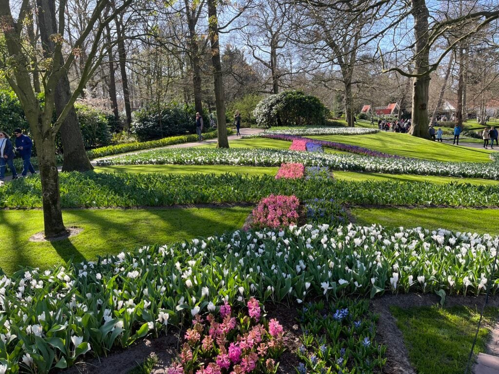 tulipes à keukenhof