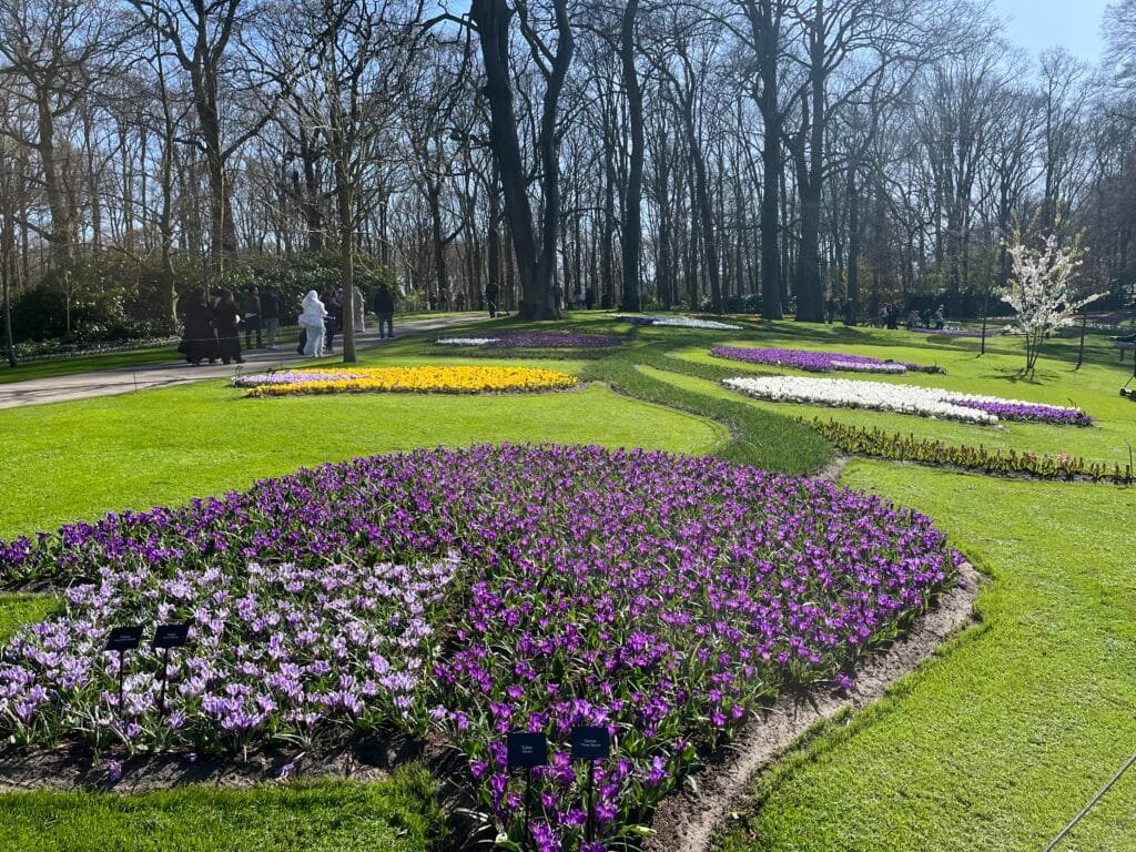tulipes à keukenhof