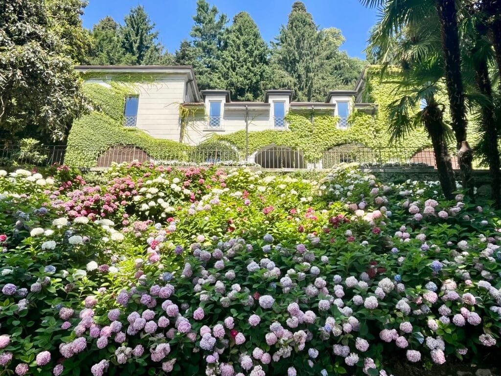 hortensias dans le Parco del Grumello à Côme