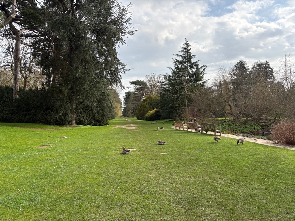 kew gardens à londres