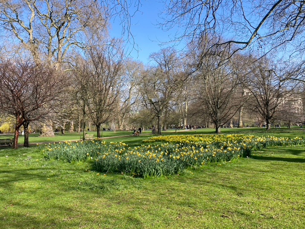 saint james park à londres