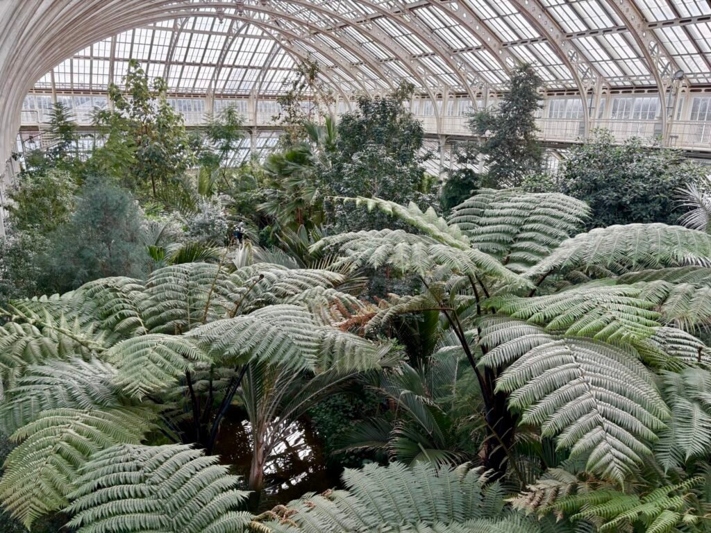 kew gardens