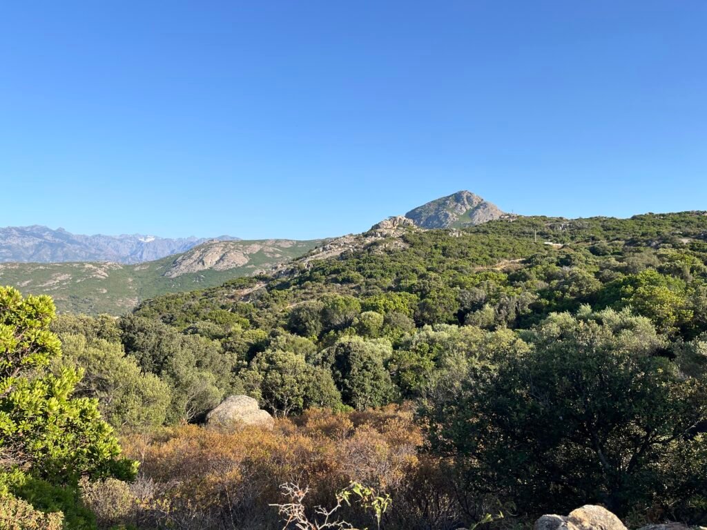 randonnée notre dame de la serra corse