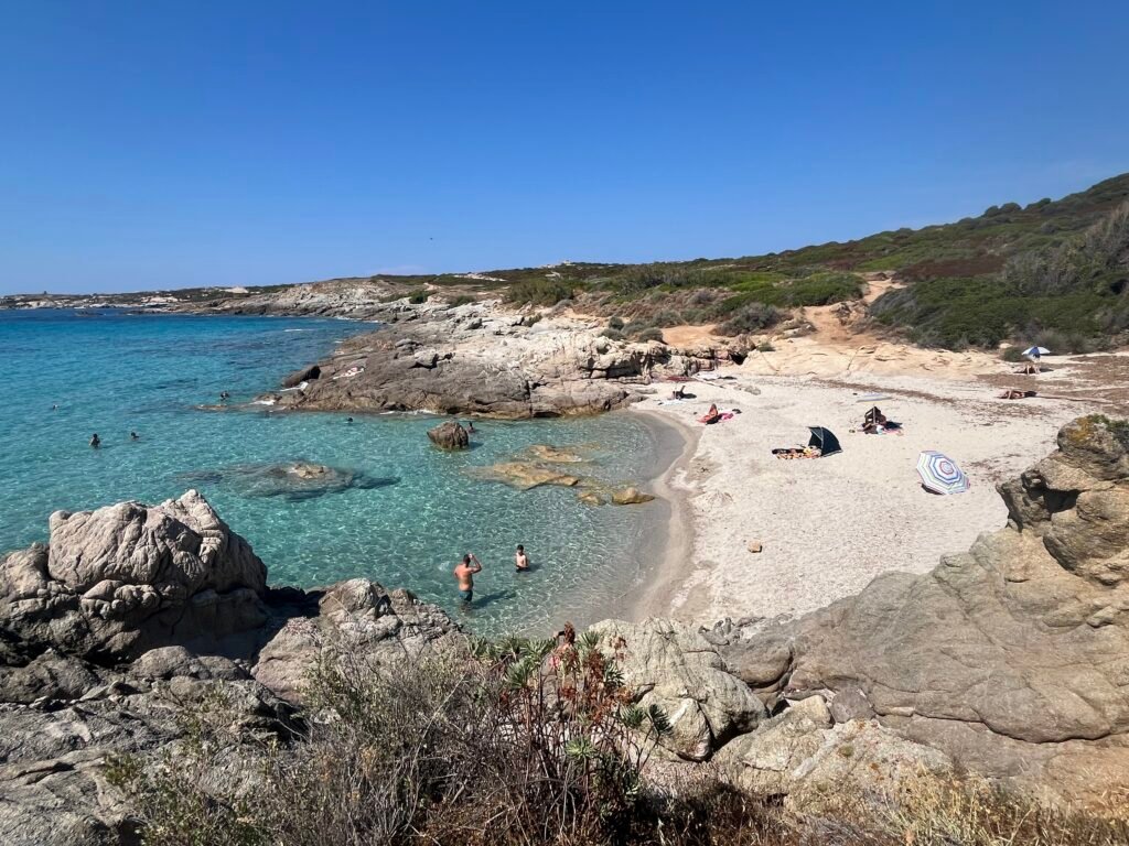 plage alga calvi