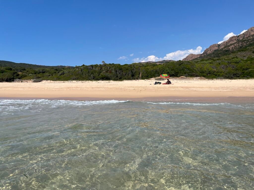 plage d'arone corse
